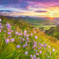 Campagne au Lever du Soleil