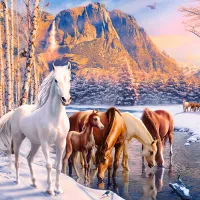 Fonte d'Hiver