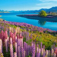 Lac Tekapo, Nouvelle-Zélande