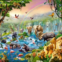 Rivière de la Jungle