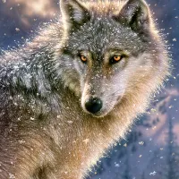 Loup Solitaire