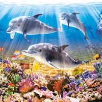 Le Monde des Dauphins