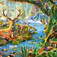 Vie de la Forêt
