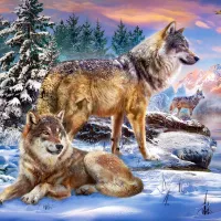 Le Pays Merveilleux des Loups