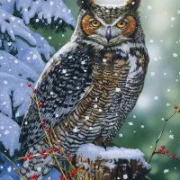 Hibou Silencieux
