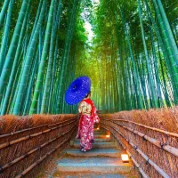 Asian Woman in Bamboo Forest