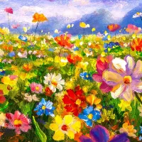 Colorful Flower Meadow