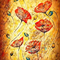 Coquelicots rouges