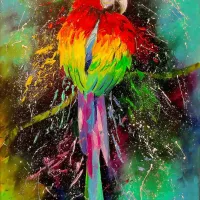 Perroquet Coloré