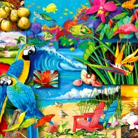 Trésors Tropicaux