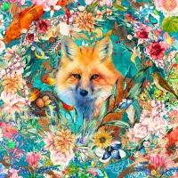 Miss Foxy