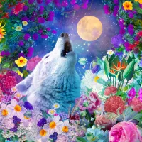 La Nuit du Loup