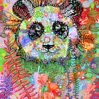 Enigmatic Panda