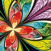Colorful Flower