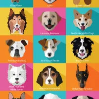 The Dogs