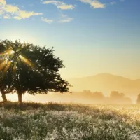 Play of Light