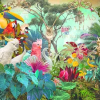 Birddiversity