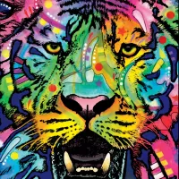 Dean Russo : Jolly Pets, Wild Tiger