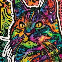 Necessity Cat