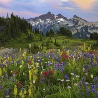 Tatoosh Mountains