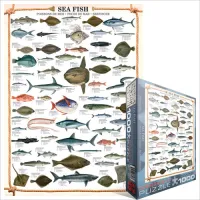 Les poissons