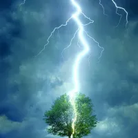 Foudre frappant un arbre