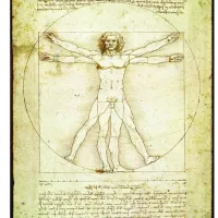 Leonard de Vinci : L'homme de Vitruve
