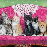 Chatons sur un Fauteuil