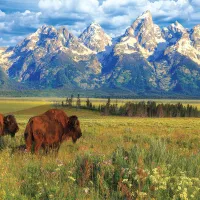 Parc National Grand Teton