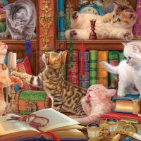 Chatons de Bibliothéque