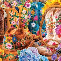 Cowgirl Boots by Lars Stewart