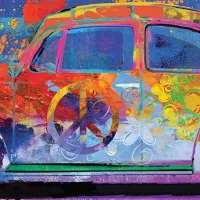 VW Beetle - Splash Pano