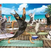 Pièces XXL - Yoga Spa