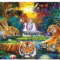 Pièces XXL - Tiger's Eden