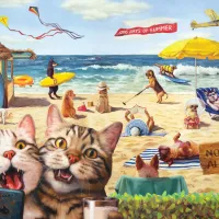 Pièces XXL - Interdit aux chats