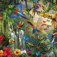 Pièces XXL - Paradis des Oiseaux Tropicaux