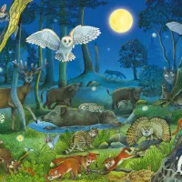 Animaux dans la Forêt Nocturne