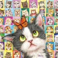 Mimique de Chat