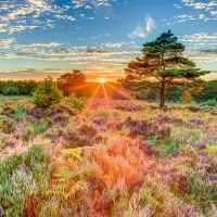 Crépuscule sur la Lande