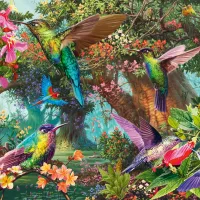 Jeu de Couleurs du Colibri