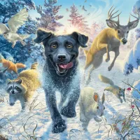 Labrador Noir dans la Neige