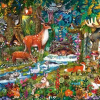 Animaux de la Foret
