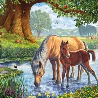 Chevaux dans le Ruisseau