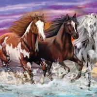 Trio de Chevaux Sauvages