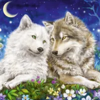 Amitié entre Loups