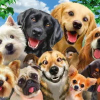 Dogs' Selfy