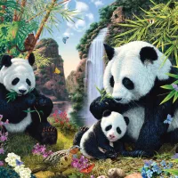 Famille de Pandas