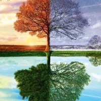 Arbre des 4 Saisons