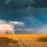 Nature Edition - Météo Arc-en-ciel Mystique