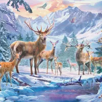 Chevreuils Et Cerfs